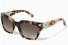 Contempo Dot Sunglasses