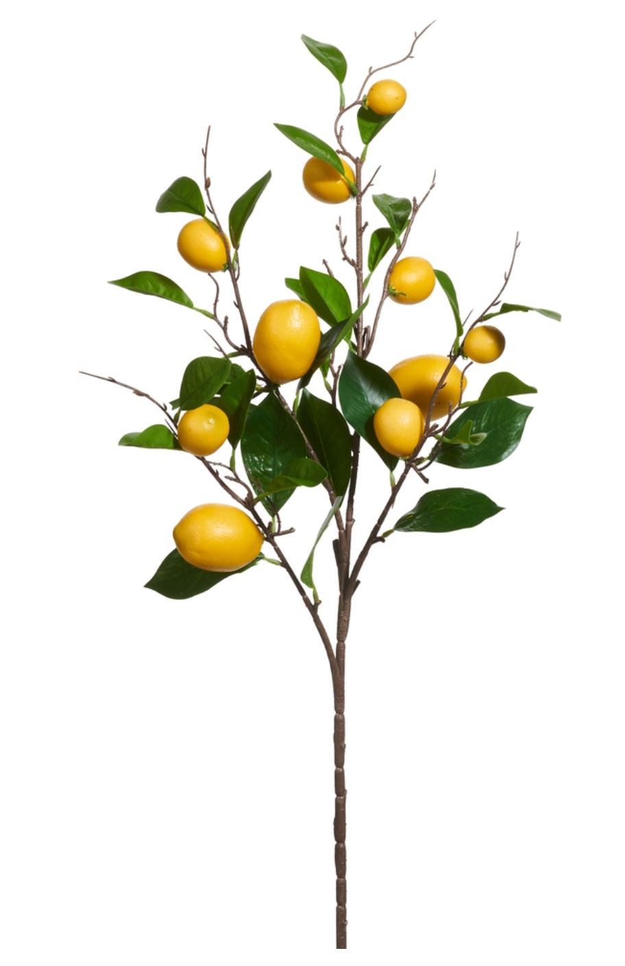 36" Lemon Spray