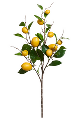 36" Lemon Spray