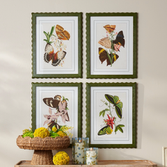 Butterfly Framed Wall Art