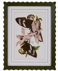 Butterfly Framed Wall Art