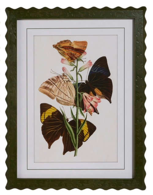Butterfly Framed Wall Art
