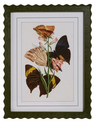 Butterfly Framed Wall Art