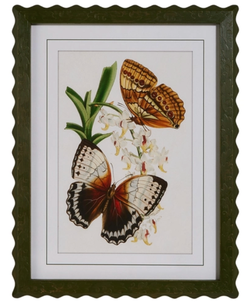 Butterfly Framed Wall Art
