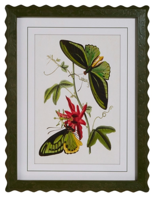 Butterfly Framed Wall Art