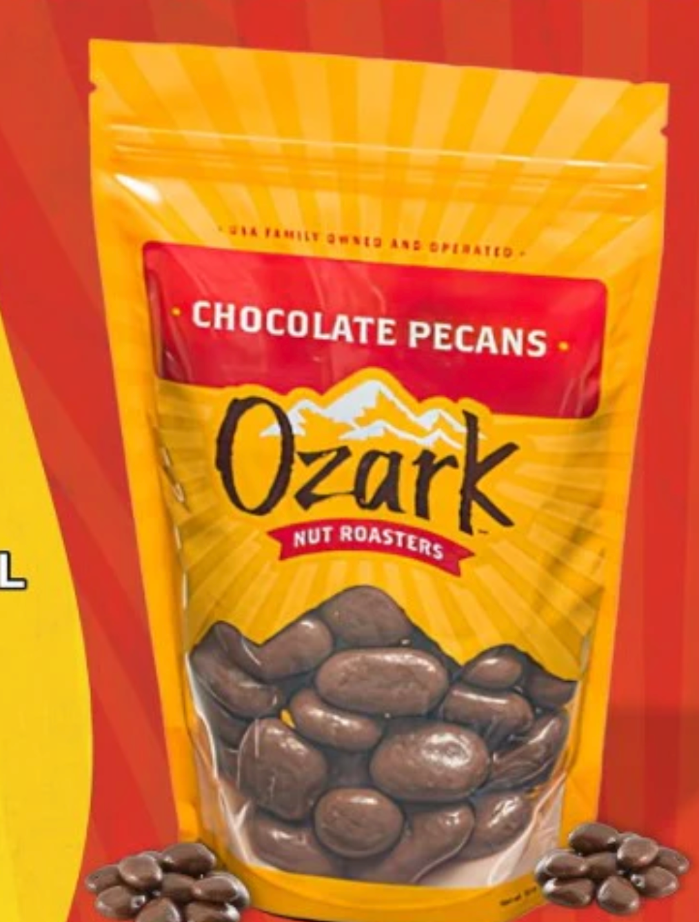 Chocolate Pecans