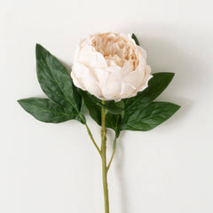 Champagne Pink Peony Spray
