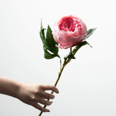 Dark Pink Peony Spray